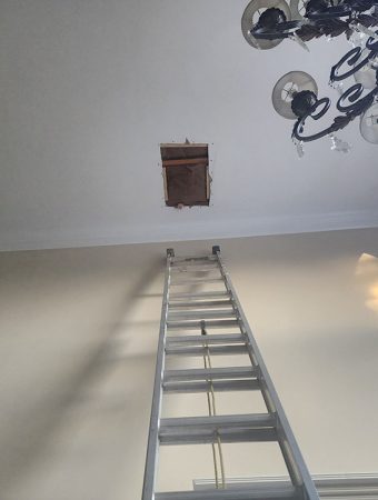 A ladder is suspended from the ceiling in an indoor room, creating a unique and unusual visual element.