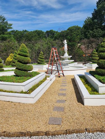 A man is using a ladder to tend to his garden, surrounded by plants and flowers.