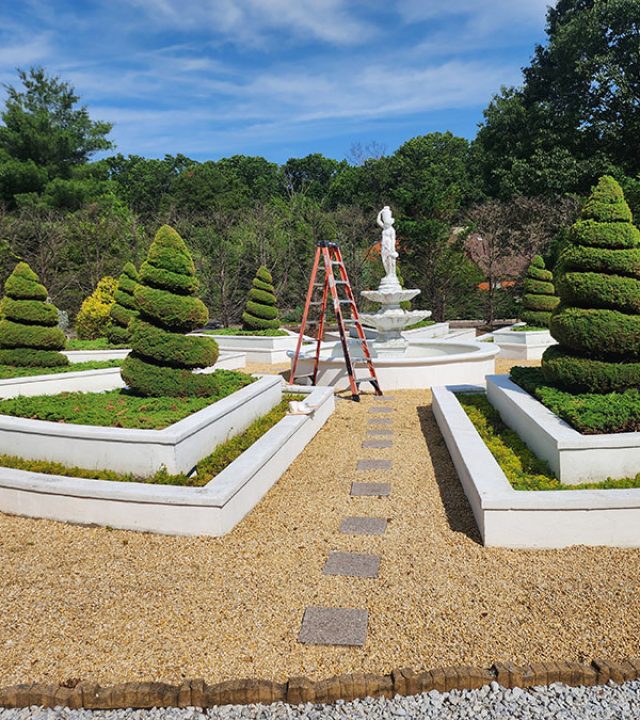 A man is using a ladder to tend to his garden, surrounded by plants and flowers.