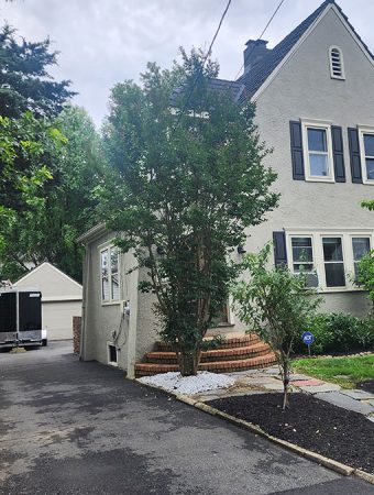 A house with a driveway and a tree in front, showcasing a suburban landscape.